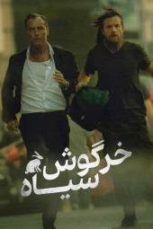 دانلود سریال خرگوش سیاه Black Rabbit 2025