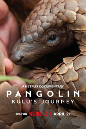 دانلود فیلم سفر پنگولینی به اسم کولو Pangolin: Kulu's Journey 2025