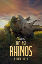 دانلود فیلم آخرین کرگدن ها: امید به بقا The Last Rhinos: A New Hope 2025
