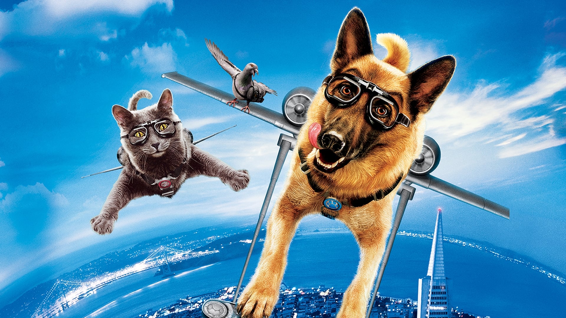 دانلود فیلم گربه ها و سگ ها: انتقام از کیتی گالور Cats & Dogs: The Revenge of Kitty Galore 2010
