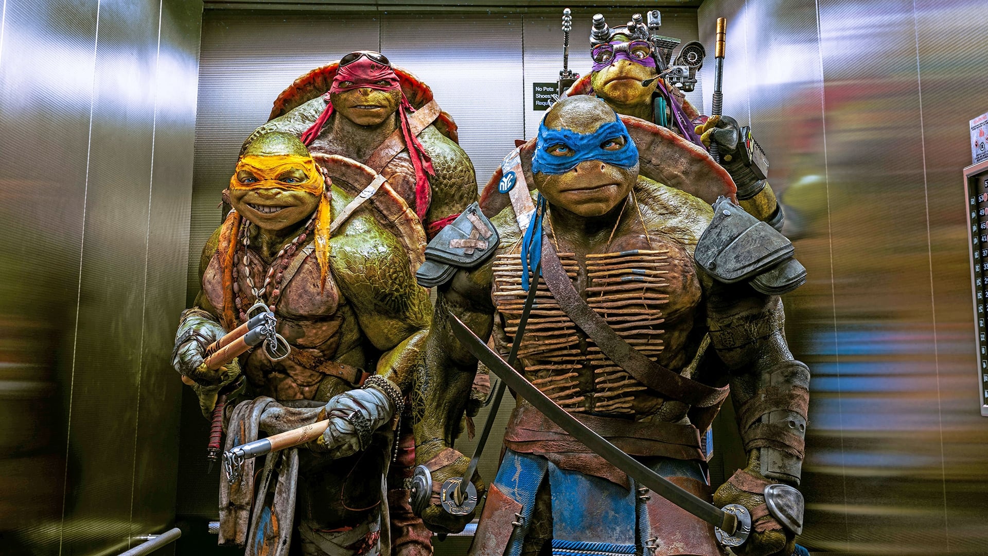 دانلود فیلم لاکپشت های نینجا Teenage Mutant Ninja Turtles 2014